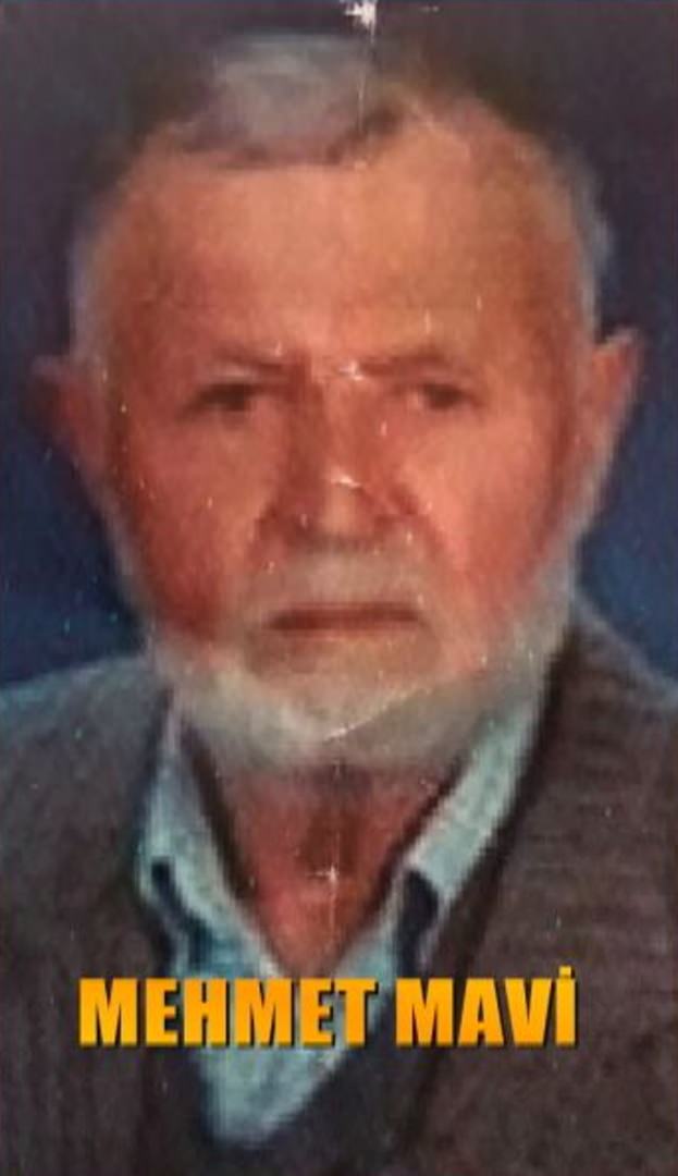 Mehmet Mavi